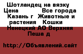 Шотландец на вязку › Цена ­ 1 000 - Все города, Казань г. Животные и растения » Кошки   . Ненецкий АО,Верхняя Пеша д.